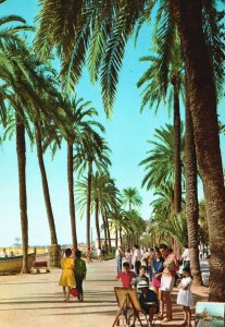 Vintage Postcard Sitges Paseo De Palmeros Boulevard Of Palm Trees Sitges Spain