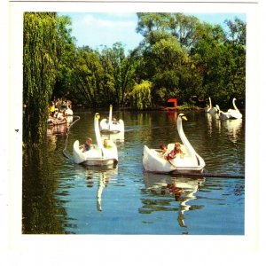 Swan Boats, Small 3 X 3 inch Plastichrome Card, Toronto, Ontario, 1970's