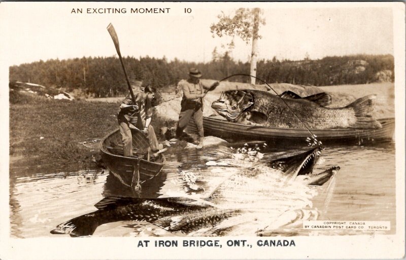 Canada at Iron Bridge Ontario Exaggerated Fish RPPC Postcard Y15