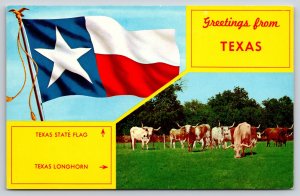 Texas~Greetings Banner~State Flag & Longhorn Cattle~Vintage Postcard