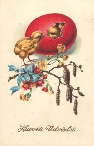 Easter greetings postcard chick egg reed Hungary bow