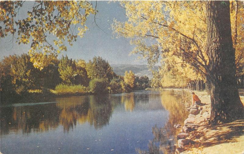 Reno Nevada~Truckee River in Fall~Man Leans over Rocks over River~1950s Postcard