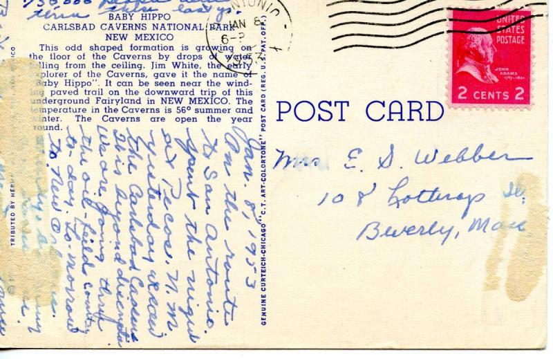 NM - Carlsbad Caverns National Park. Baby Hippo