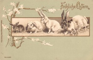 Easter Greetings Rabbits Flowers Tree embossed postcard C317