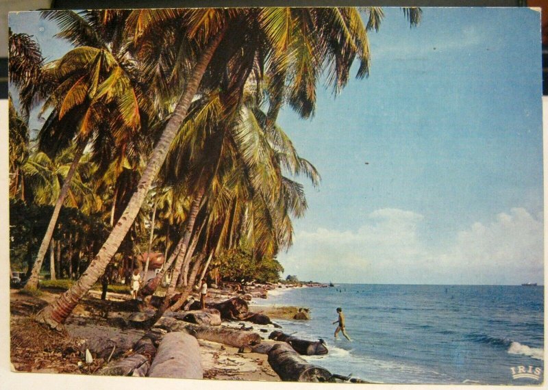 Kenya Coco nuts Palms on the Beach - posted 1973