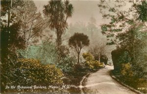 Postcard RPPC C-1910 New Zealand Napier Botanical Gardens #2974 23-12652