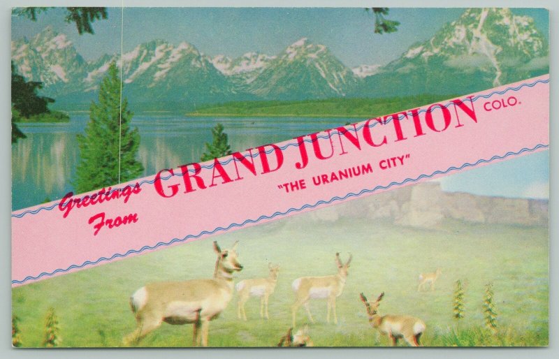 Grand Junction Colorado~The Uranium City~Standard Chrome Postcard