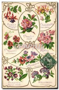 Old Postcard Fantasy Flowers