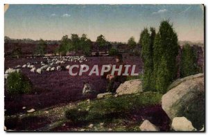 Old Postcard Fantasy Landscape in the countryside Shepherd and his sheep