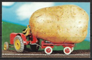 Maine - They Sure Grow 'em Big Here! [ME-026]