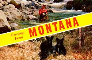 Montana Greetings From Montana