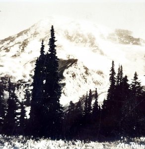 RPPC Mount Rainier 52 Ellis 1920s Washington Pacific NW PCBG6C