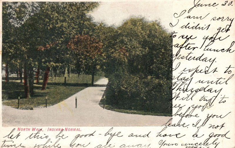 Vintage Postcard 1908 Scenic View Roadway Pinetress Indiana Normal North Walk