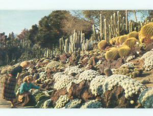 Pre-1980 GARDEN SCENE San Marino - Near Pasadena & Los Angeles CA AF6428