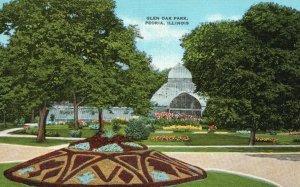 Vintage Postcard 1910's View of Beautiful Glen Oak Park Peoria Illinois ILL