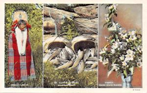 NATIVES OF IDAHO~INDIAN PAPOOSE-MOUNTAIN TROUT-SYRINGA STATE FLOWER POSTCARD