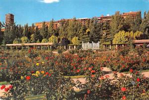 Madrid - The Roselade