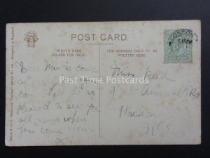 Poppies Postcard FROM THE CORNFIELD c1908 by Misch & Co  - Donation to R.B.L.