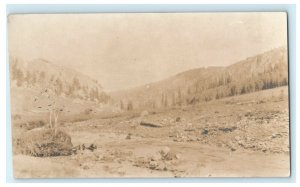 Rocky Stream Mountains Rustic Scenery Wildlife Pine Postcard Vintage Antique 