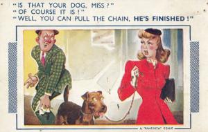 Lady Dog Urinates On Mans Leg Toilet Pull The Chain Please Comic Humour Postcard