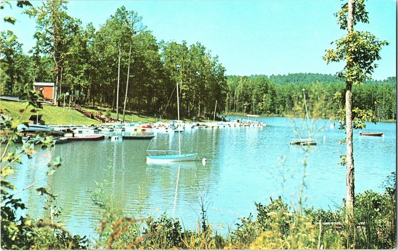 Lake De Soto Marina Hot Springs Village Arkansas Vintage Standard View Postcard 