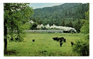 OR - Cottage Grove. Oregon Pacific & Eastern Rwy, The Goose Pass. Train