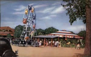 Craterville Park Oklahoma OK Ferris Wheel Amusement Park c1950s Postcard