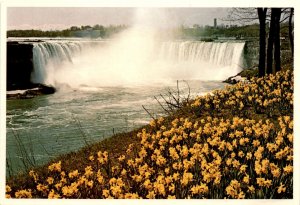 Horseshoe Falls, Niagara Falls, Ontario, Queen Victoria Park, 500, 000 Postcard