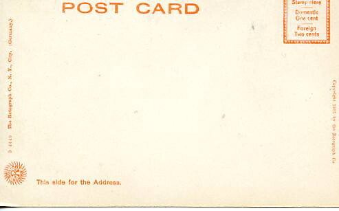 NY - Binghamton. City Hall    (Rotograph)