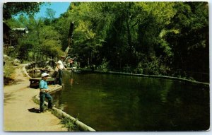 Postcard - Trout pond, California Hot-Springs Resort - California 