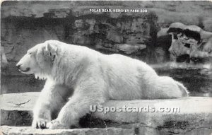 Polar Bear, Hershey Park Zoo - Pennsylvania