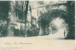 Germany Postcard - Coblenz - Die Rheinanlage - Ref TZ9864