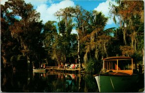 Vtg Palm Beach Ferry & Jungle Dock Jungle Cruise Everglades Florida FL Postcard