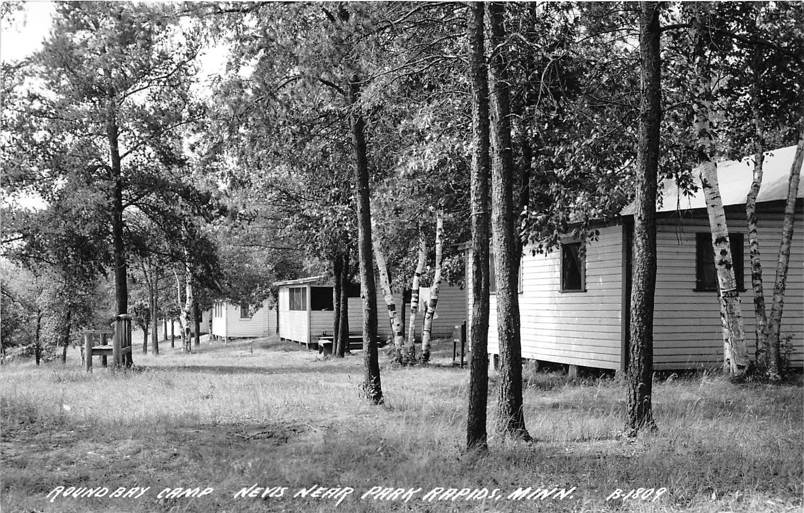 Nevis Park Rapids Minnesota Round Bay Camp Cabins By Birch Trees