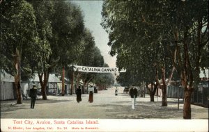 Santa Catalina Island CA Tent City Avalon People Strolling 1900s-20s Postcard