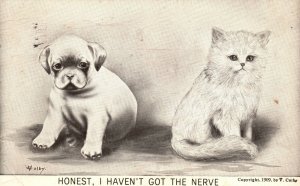 Vintage Postcard 1910 Honest I Haven't Got Nerve Dog & Cat Animals Artwork