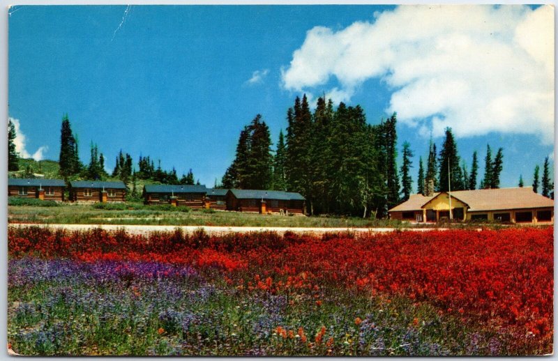 VINTAGE POSTCARD CEDAR BREAKS LODGE AND NATIONAL MONUMENT UTAH c. 1960s