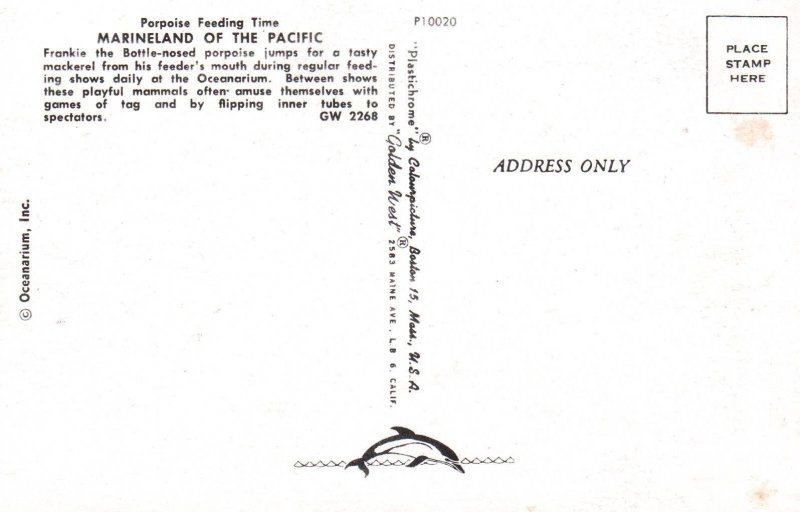 Porpoise Feeding Time,Marineland of the Pacif,CA BIN