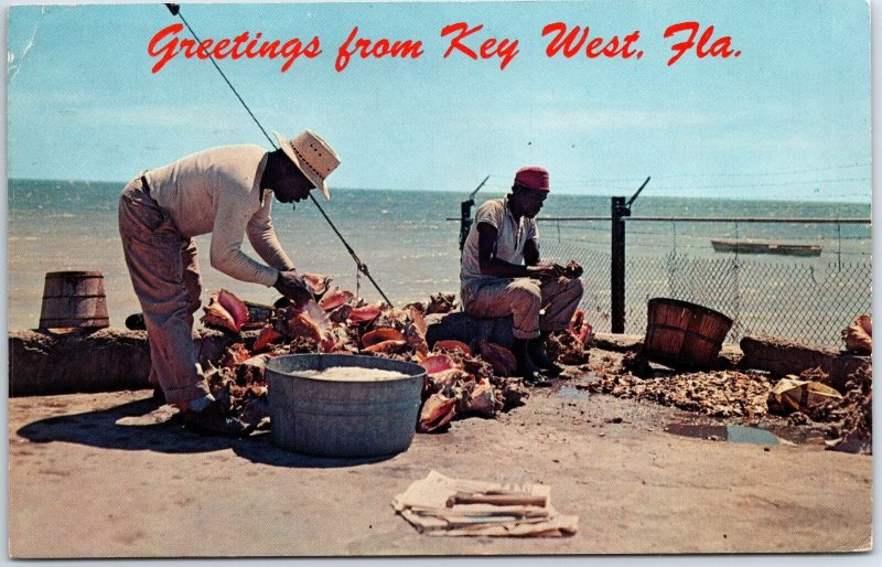 VINTAGE POSTCARD CONCH SHELL SELLERS AT KEY WEST FLORIDA POSTED 1967