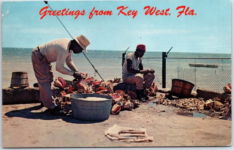 Vintage Postcard Conch Shell Sellers at KEY West Florida Posted 1967