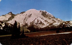 Washington Mount Rainier and Yakima Park