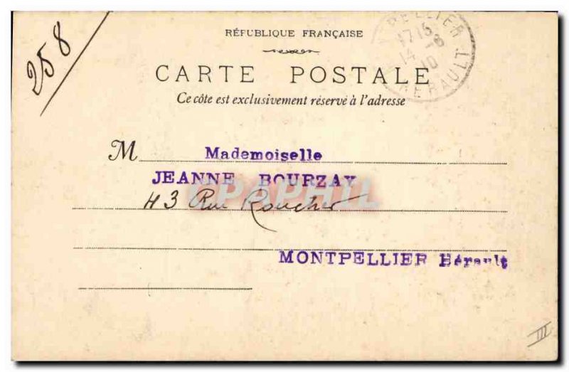 Postcard Old Tree Cyrano Cocoa Yellow Madagascar