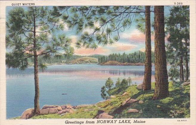 Maine Greetings From Norway Lake 1939 Curteich