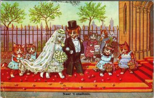 Cats Wedding Kittens Vintage Postcard C180