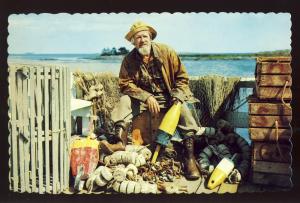 Maine/ME Postcard, Old Salt (Fisherman) On New England Coast