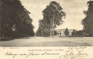 argentina, LA PLATA, Avenida Principal del Bosque (1904) Postcard