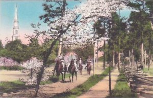 North Carolina Pinehurst Riders Near The Village Chapel Albertype