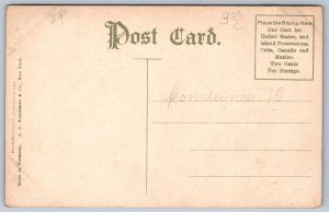 K31/ Cedar Rapids Iowa Postcard c1910 Interior Montrose Hotel Lobby 30