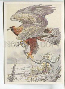 479575 USSR 1989 year Red Book protected animals Gorbatov bird golden eagle