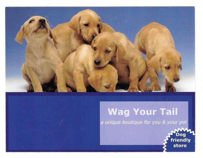 Modern Advertising Postcard Puppy Wag Your Tail Pet Boutique